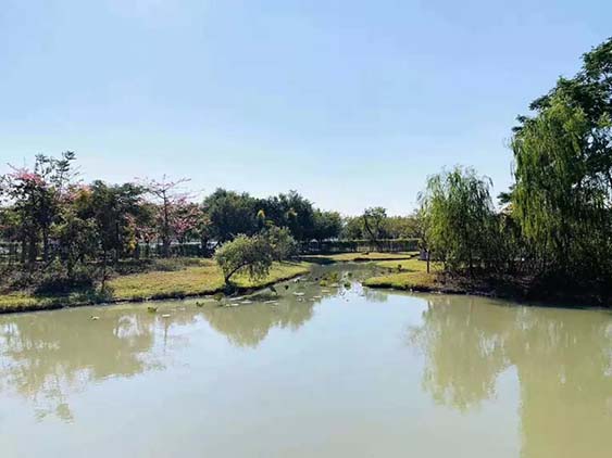 團建回顧|華陽湖大挑戰(zhàn)！尋找和生“三好青年”？